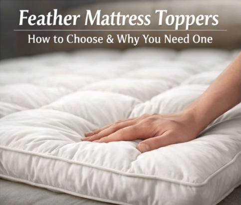 Feather Mattress Toppers: How to Choose and Why You Need One