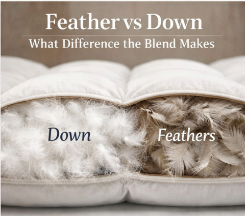 Feather vs Down: What Difference the Blend Makes