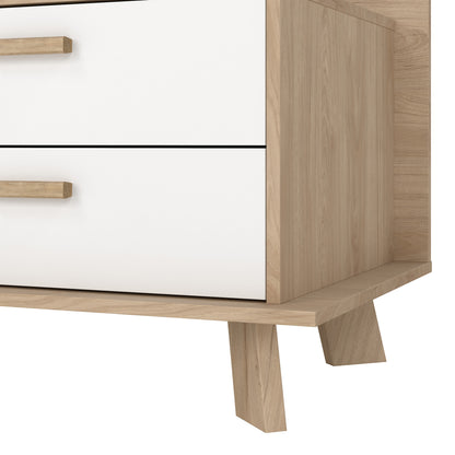 Ikast TV-unit with 1 Door + 2 Drawers in Jackson Hickory and White