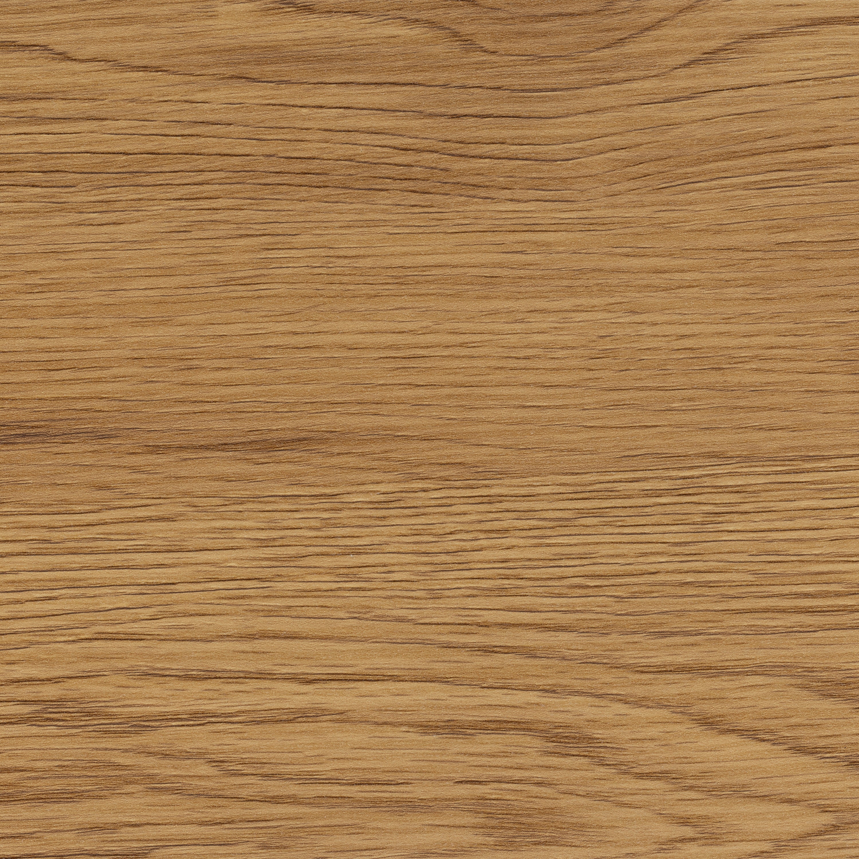 Seaford Tv Unit 2 Doors 1 Drawer in Matt Wild Oak